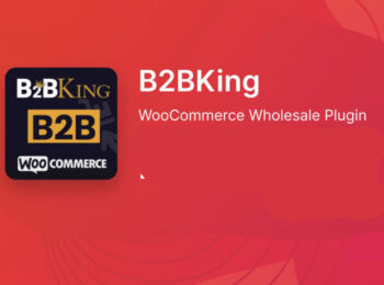 B2BKing Pro