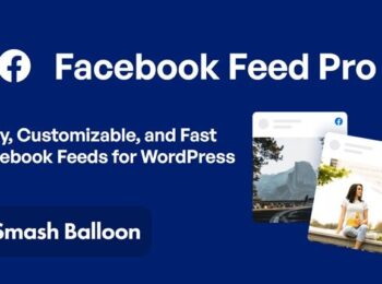 Custom Facebook Feed Pro Smash Nulled