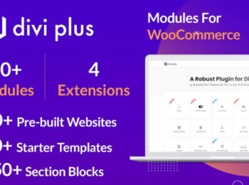 Divi Plus Nulled