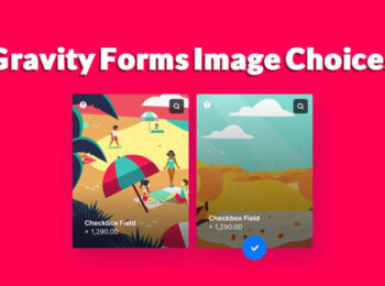 Gravity Forms Image Choices Nulled