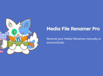 Media File Renamer Pro Nulled