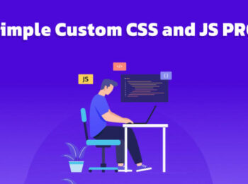 Simple Custom CSS and JS PRO