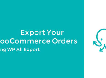 WP All Export - WooCommerce Export Add-On Pro Nulled