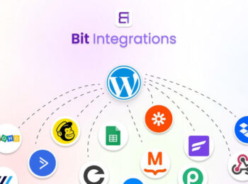 Bit Integrations Pro Nulled