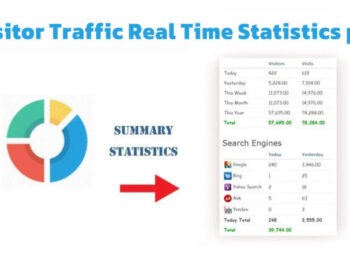 Visitor Traffic Real Time Statistics pro Nulled